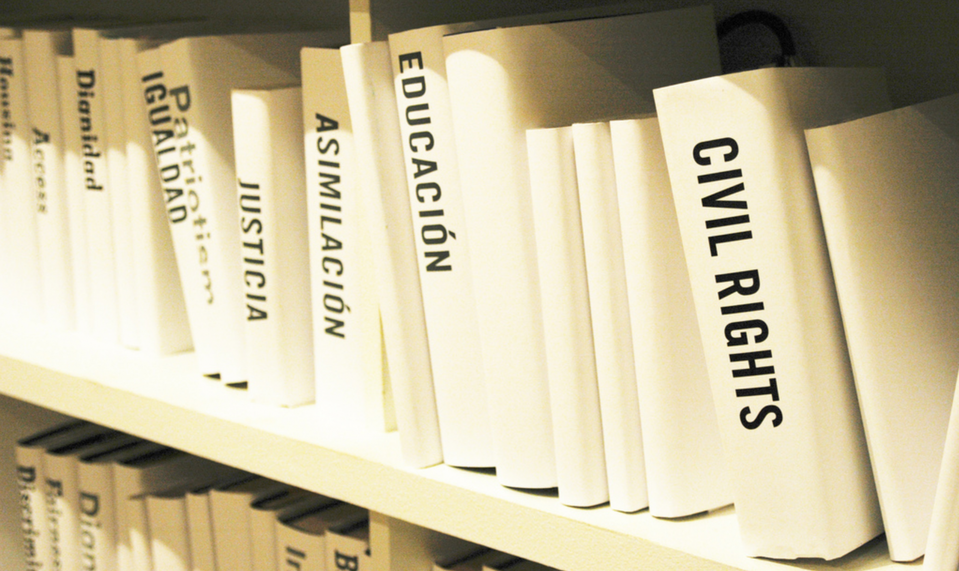 Books with beige covers and black titles lean on a beige book shelf with the most prominent book is titled “CIVIL RIGHTS.”